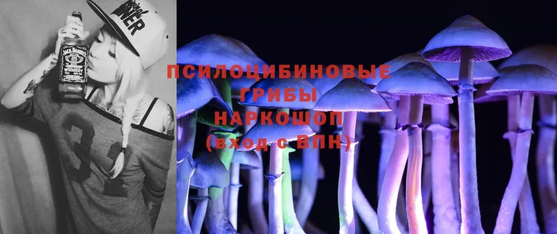 Псилоцибиновые грибы MAGIC MUSHROOMS  Орёл 